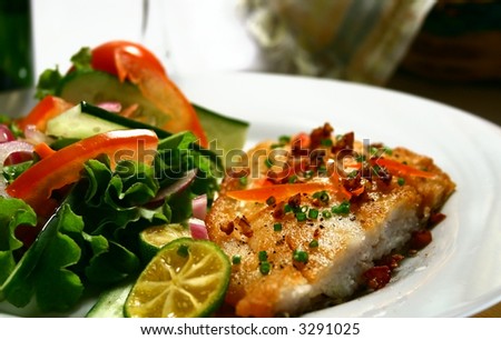 fish steak fillet with fresh garden salad