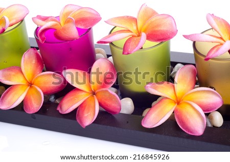 Frangipani arranged on candle holder close up isolated on white background:  Spa still life setting with aromatic candles suitable for spa related theme