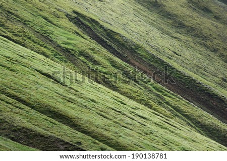 Hillside covered with thick green moss, Iceland