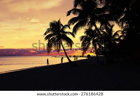 Similar – Image, Stock Photo Florida Keys Palm tree