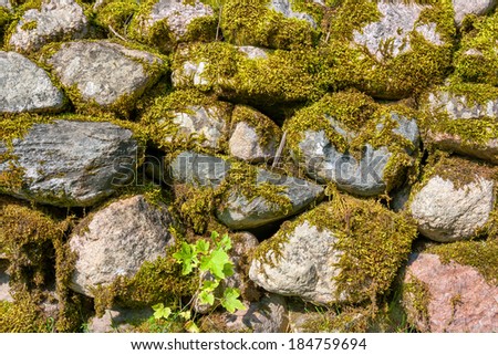 Old granite wall covered with moss and lichen