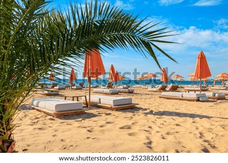 Similar – Image, Stock Photo Umbrellas and empty deckchairs collected on the beach shore in summer.
