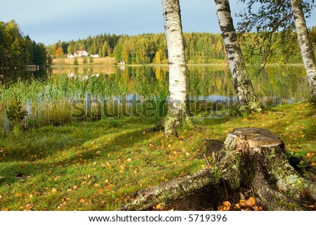 The shore of beautiful lake. Finland