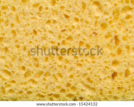 Macro picture of a wet yellow sponge