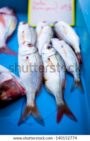 Fresh fish on a table in a marketplace/ Fresh fish on table