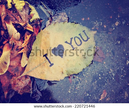 a wet leaf in a gutter that reads 