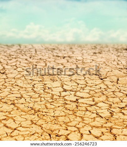 image from outdoor texture background series (dried up cracked earth in the sahara or another desert landscape)