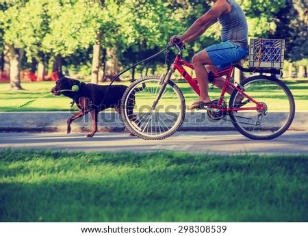 a man riding his bicycle  behind a running dog with a ball thrower in his mouth on a bike path in a city toned with a retro vintage instagram filter effect app or action