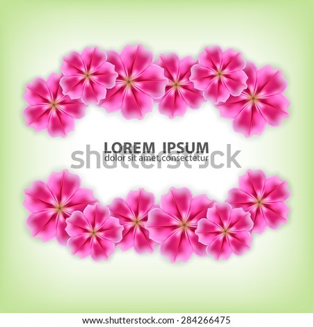 Background with beautiful flower. Summer time. High quality vector. EPS10 vector