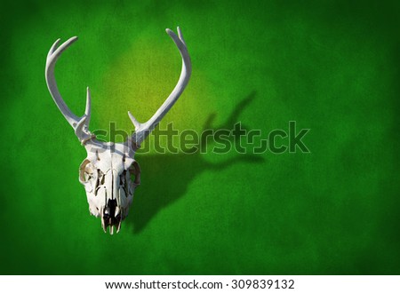Deer skull on a earthy green background representing hunting, animals, nature, wildlife, nature preservation and more.