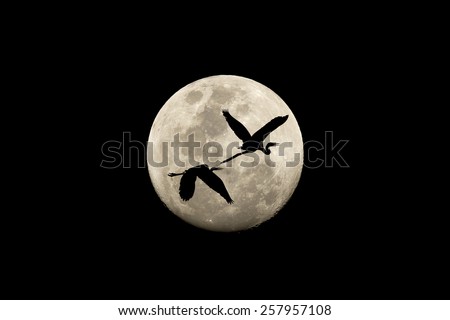 Under the concept of good leadership, teamwork and competitions. As well as birds flying lead to success in the venture in the future,Birds fly over the moon