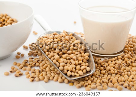 Soy milk in glass with soybeans and  transfer scoop on white background