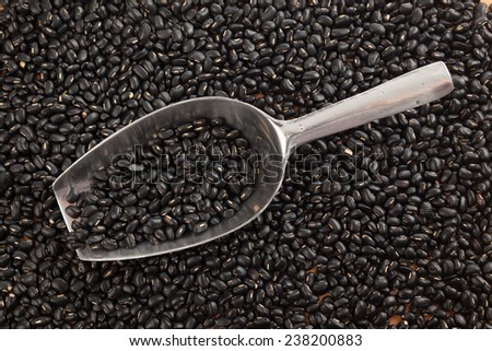 Black beans with transfer scoop on black beans  background