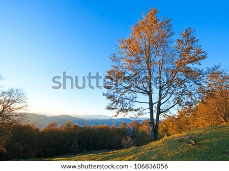 Autumn evening  landscape with lust sunlight on mountains and evening glow in sky