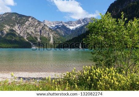 Plansee summer landscape with snow on mountainside and flower in front (Austria).