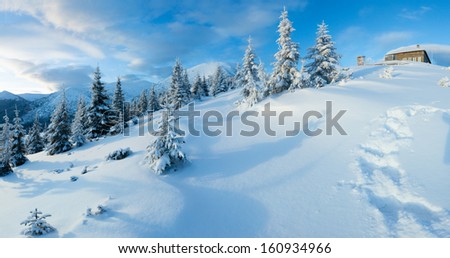 Morning winter mountain landscape with fir trees on slope and house on hill top (Carpathian, Ukraine).