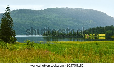Fjord summer cloudy country view (Norway)