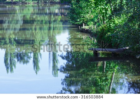 Summer lake with trees reflection on water surface.