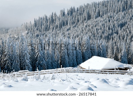 winter calm mountain landscape with rime and snow covered spruce trees with sheds group near forest