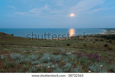 Moonlight path on night sea water surface