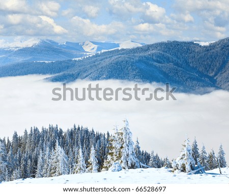 Winter calm mountain landscape with snow covered spruce trees (view from Bukovel ski resort to Svydovets ridge, Ukraine). Composite image.