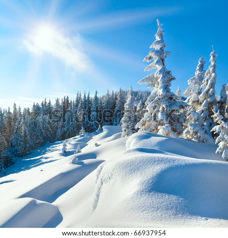Snowdrifts on winter snow covered mountainside, fir trees on hill top and sun shine in blue sky (square proportions)