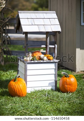 Pumpkins leaning against a wishing well at a pumpkin patch farm