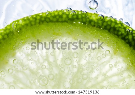 lemon slice in white background in the raw fruit concept