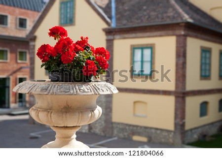 red flower wizht old house