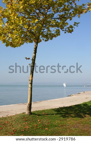 Sunny day. The lake balaton is the largest lake in middle-eastern europe. Hungary
