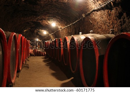 Vintage series 25. Wine barrels in traditional wine cellar.