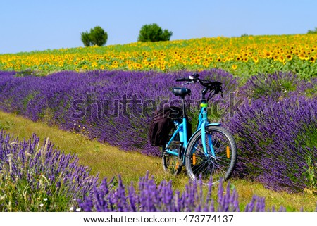 Similar – Image, Stock Photo Lavender in Provence