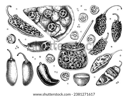 Ripe jalapeno chili pepper sketches set. Hot spices, vegetarian, healthy food hand drawn vector illustration. Mexican cuisine menu design elements. Jalapeno with slices and seeds for packaging