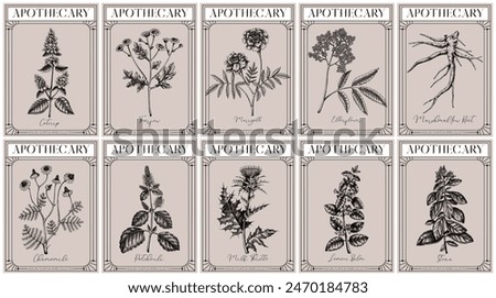 Apothecary labels set. Healing plants and medicinal herbs sketches. Art nouveua, adt deco, retro style. Vintage frame design templates. NOT AI generated