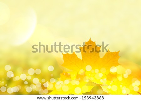 Beautiful autumn background with leaves