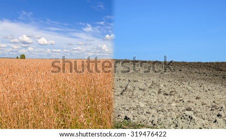 Dry land and fertile soil.Concept of climate change,seasonality,drought and crop