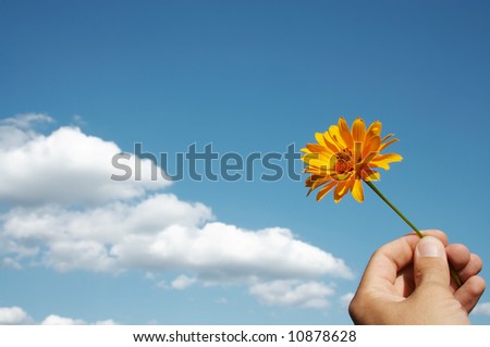 Yellow flower in hand against blue sky and white clouds.