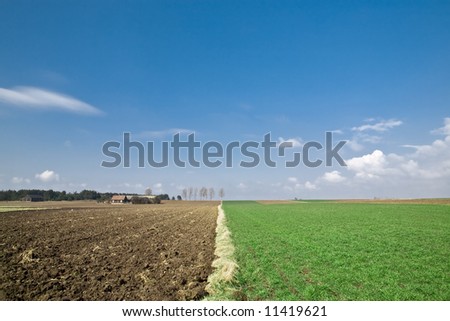 Green field and brown soil with blue sky and white clouds.