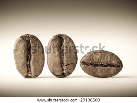 Macro of three coffee beans. Sepia tone. Shallow DOF.