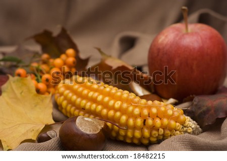 arrangement made of leaves, chestnuts and corncob and apple