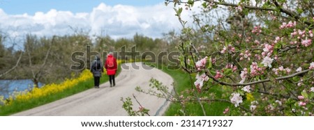 Foto Bild Spaziergang auf dem Deich