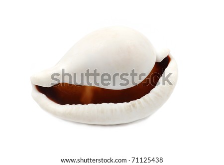 Cute and funny big mouth seashell with a big smile.