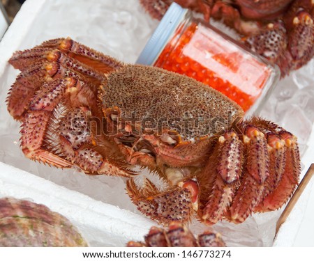 japanese hairy crab at the market
