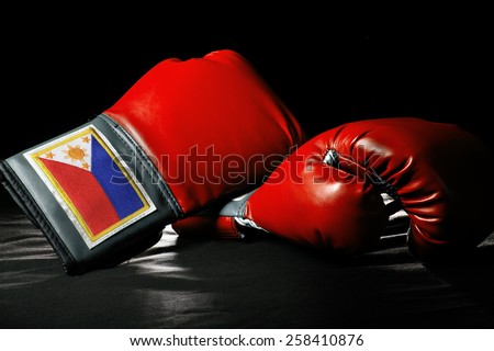 boxing gloves or martial arts gear on a black background