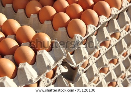 Fresh eggs in a eggs box