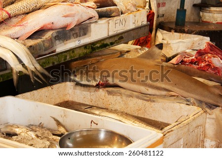 Fish\'s on the market in Singapore.Shark and other fresh fish.