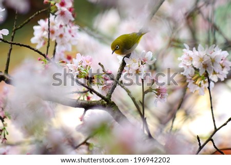 A selective focus of a bird on a twig surrounded by leaves.