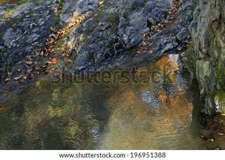 Rocks and leaves reflecting in a body of water.