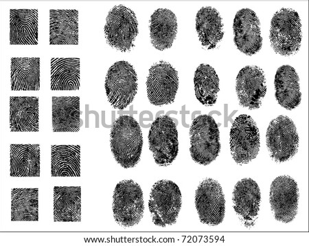 30 Detailed Fingerprints