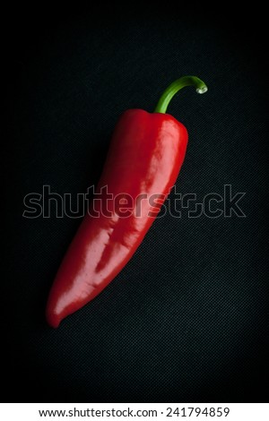 beautiful long pepper was photographed in a photographic studio